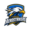 Punjab Aerostrikers logo